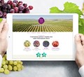 Aproxima-se uma nova campanha e a Dona Uva estará mais próxima
